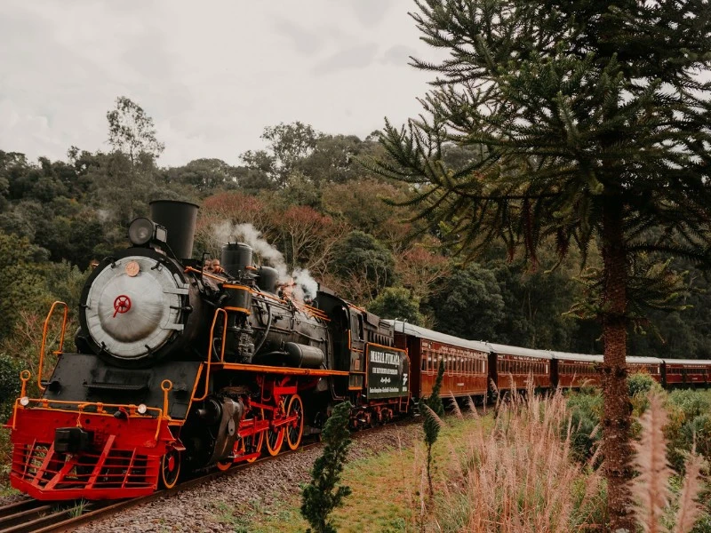Maria Fumaça com Vale dos Vinhedos